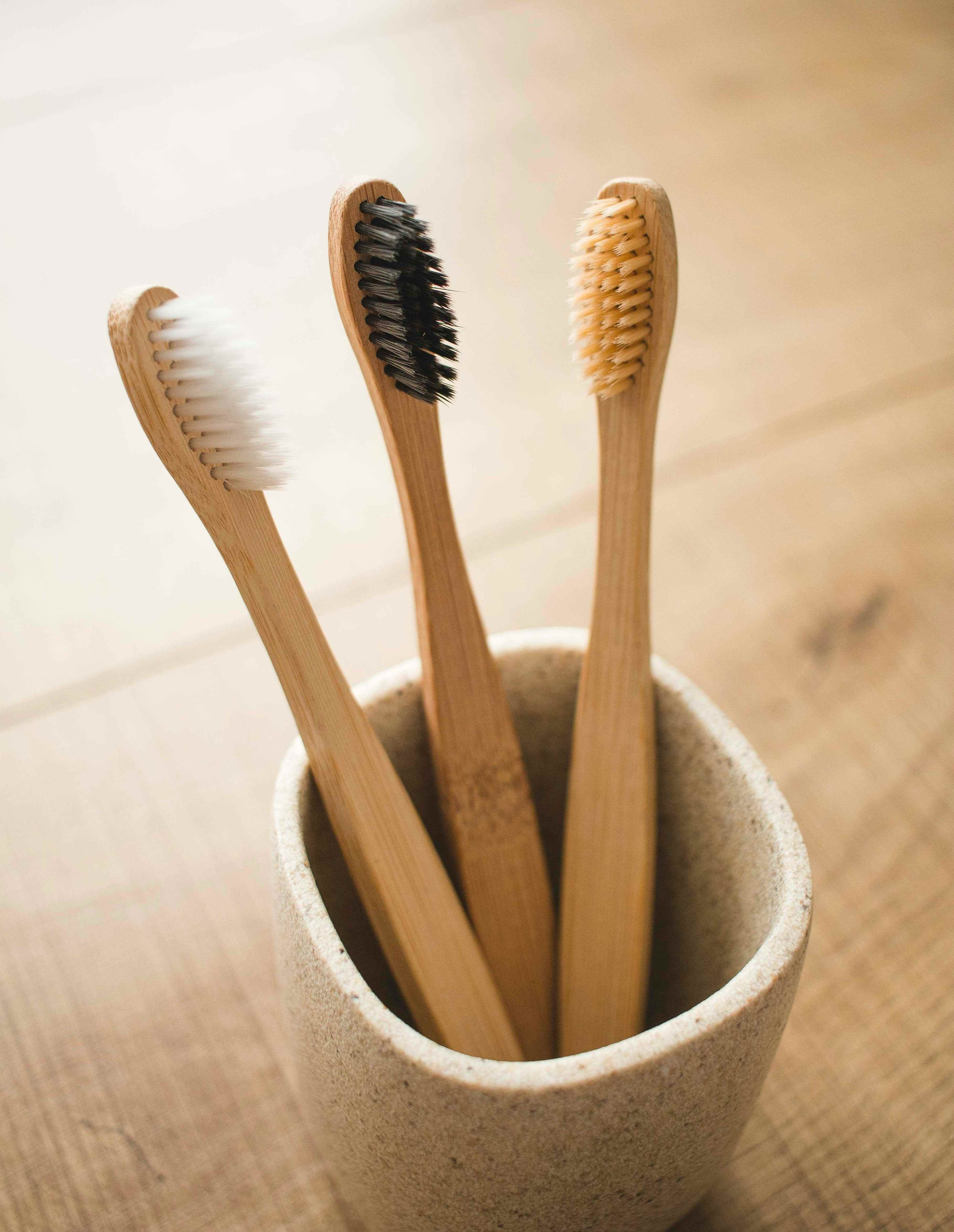 Bamboo Toothbrush Set